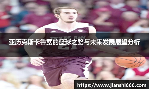 凤凰联盟首页官网