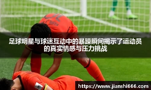 足球明星与球迷互动中的暴躁瞬间揭示了运动员的真实情感与压力挑战